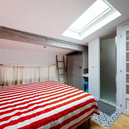 Magnificent Duplex - Historical Center